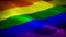 Rainbow Gay flag video waving in wind. Realistic Gay Flag background. Rainbow Flag Looping Closeup 1080p Full HD 1920X1080 footage