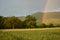 rainbow, green and yellow wheat field in the foreground behind it a large hill with Teck Castle.