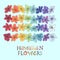 Rainbow hawaiian flower lei set
