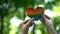 Rainbow heart in female hands, LGBT flag, recognition of sexual minorities right