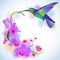 Rainbow humming-bird with violet orchids