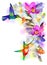 Rainbow humming-bird with violet orchids