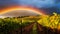 Rainbow illuminating a serene vineyard