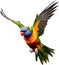 Rainbow Lorikeet bird. Bird Clipart AI-generated.