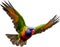 Rainbow Lorikeet bird. Bird Clipart AI-generated.