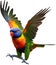 Rainbow Lorikeet bird. Bird Clipart AI-generated.