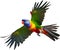 Rainbow Lorikeet bird. Bird Clipart AI-generated.