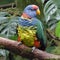 Rainbow lorikeet or parrot, Latin Trichoglossus haematodus, AI generative content