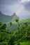 Rainbow on Moorea island jungle and mountains landscape