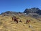 Rainbow Mountain, Cusco Province, Peru, May 11th, 2016: A group