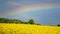 Rainbow over bright yellow blooming rapeseed field in spring