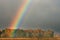 Rainbow Over Corn Field and Trees