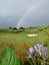 Rainbow over countryside