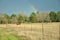 Rainbow over Farm Pasture