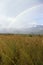 A rainbow over fields, Uganda