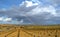 Rainbow over fields of vines and olives