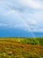 Rainbow over the forested landscape under stormy sky