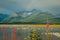 Rainbow over lake with seagulls and fireweed in Valdez, Alaska