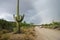 Rainbow Over Road in Saguaro National Park