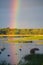 Rainbow over stony seacoast by sunset