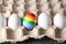 Rainbow painted egg among white ones in carton box. LGBT concept