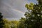 Rainbow Peeking Out of the Clouds