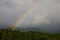 Rainbow rising from the forest trees to the cloudy sky after the rain