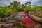 The rainbow river or five colors river is in Colombia