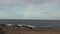 Rainbow from the sea Aruba island in the caribbean