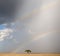 Rainbow at the Serengeti National Park