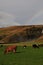 Rainbow Skogafoss