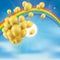 Rainbow Sky Clouds Sun Golden Balloons Bunch
