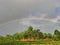 Rainbow, sky, meteorological phenomenon, phenomenon, tree, field, landscape