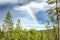 Rainbow in the sky over a field with northern vegetation. Beautiful landscape