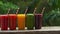 Rainbow from smoothies. Watermelon, papaya, mango, spinach and dragon fruit. Smoothies, juices, beverages, drinks