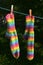 Rainbow socks hang on the clothesline