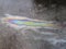 Rainbow spot on asphalt from gasoline or engine oil under a crust of ice in winter