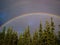 Rainbow Stretches Over the Tops of Trees