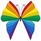 Rainbow striped butterfly isolated