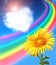 Rainbow, sunflower and heart from clouds