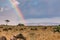 Rainbow sunrays bursting into clouds wildlife animals grazing on the savannah grasslands at the Maasai Mara National Game Reserve