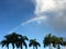Rainbow during Sunrise in Princeville in Winter on Kauai Island, Hawaii.