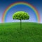 Rainbow tree