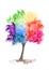 Rainbow tree on white