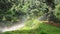 Rainbow at a tropical rain forest