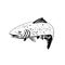 Rainbow Trout Fish Swimming Left Retro Black and White