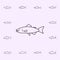 rainbow trout icon. Fish icons universal set for web and mobile