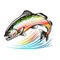 Rainbow Trout Logo. Great vector template for Rainbow Fishing Activity.