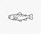 Rainbow trout, trout, fish, animal, fishing and nature, linear graphic design