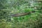 Rainbow trout in the water of the clear lake Laguna Nina Encantada, Argentina, not an underwater photo